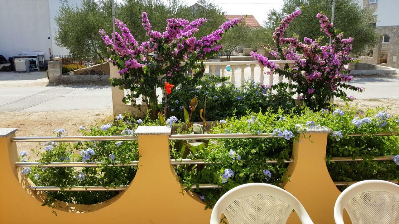 Marina Apartment Biograd Na Moru Ngoại thất bức ảnh